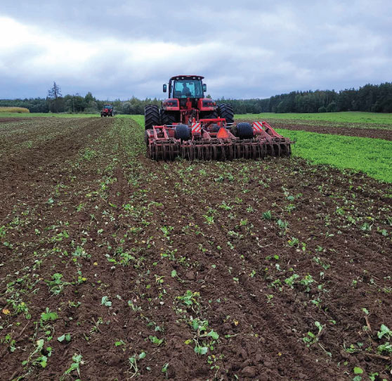 06 zelenye udobrenia