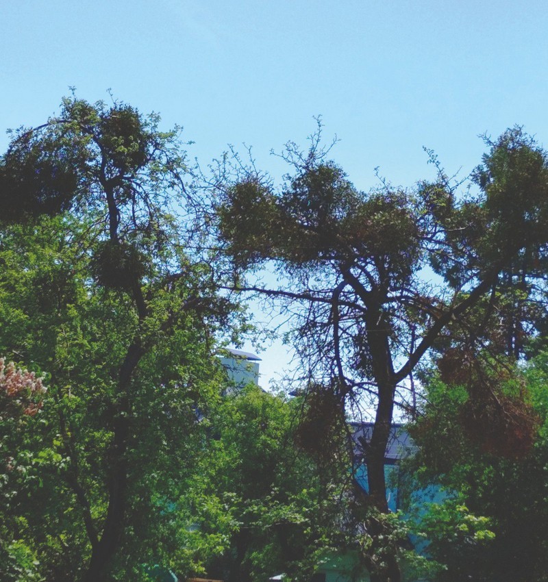 2022 06 04 18 19 05 256