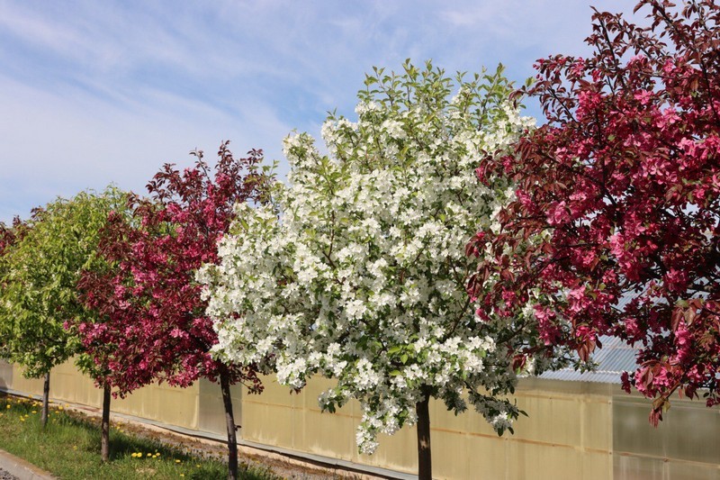 2022 06 04 18 19 05 556