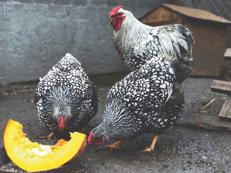 2022 06 04 18 19 05 755