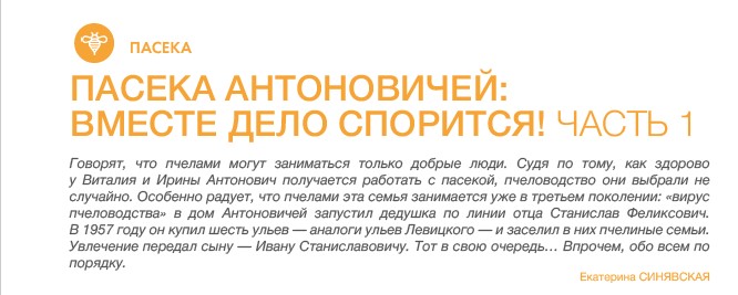 антоновичи