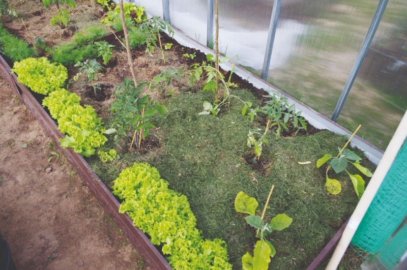 2022 03 04 18 19 10 85