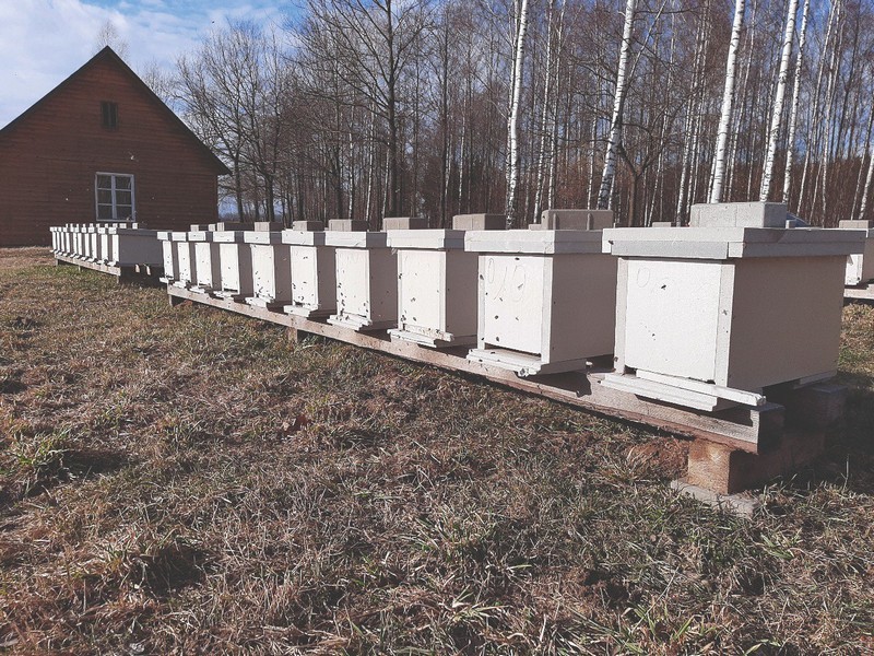 2022 06 04 18 1343 12 246