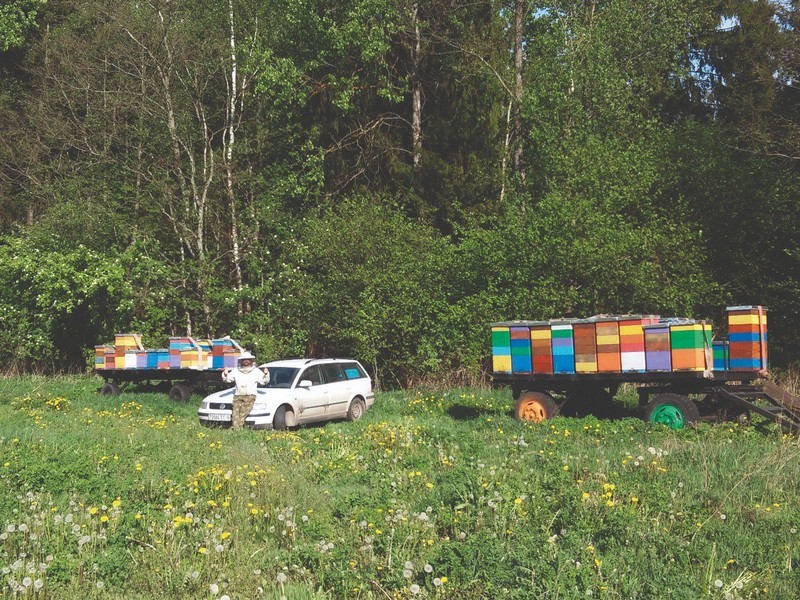 2022 06 04 18 19 10 85